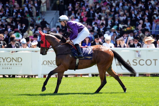 Flowerhead on her way to post at Royal Ascot