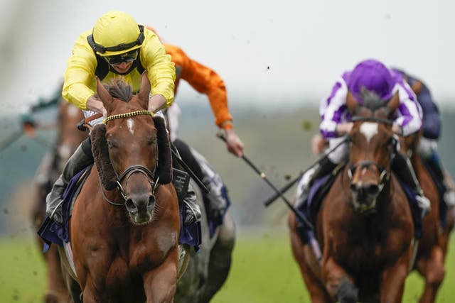 Tom Marquand guided Addeybb (left) to Champion Stakes glory