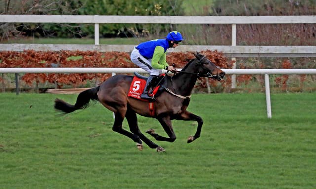 Redemption Day coasts to victory on his debut in the Midland Legal Solicitors Flat Race at Leopardstown