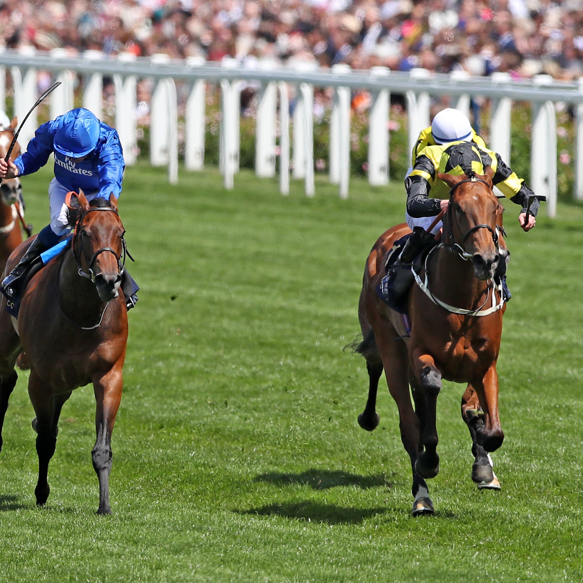 Main Edition (right) and La Pelosa (centre) fight out the finish to the Albany Stakes at Royal Ascot