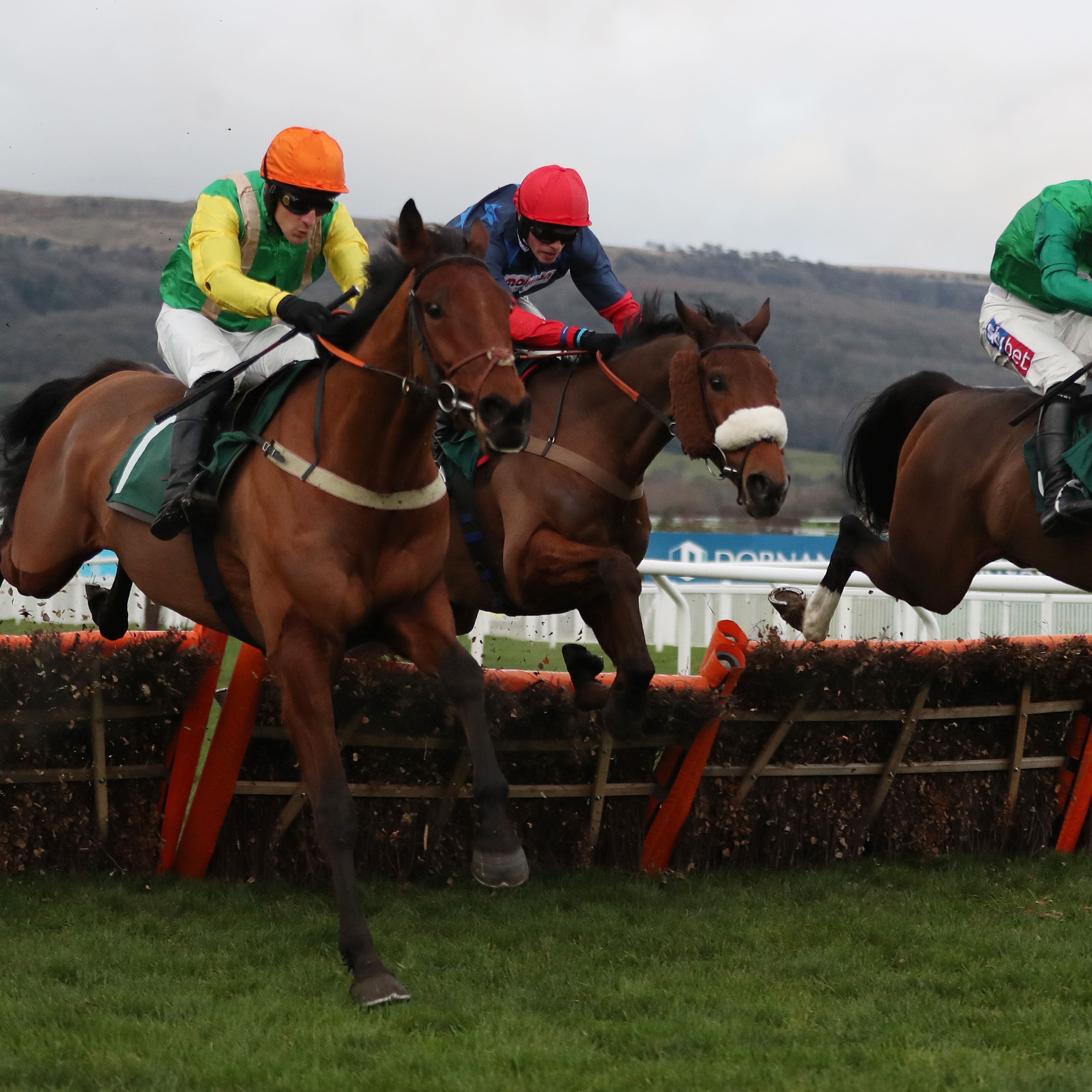 Midnight Shadow (left) swoops late to win the Relkeel