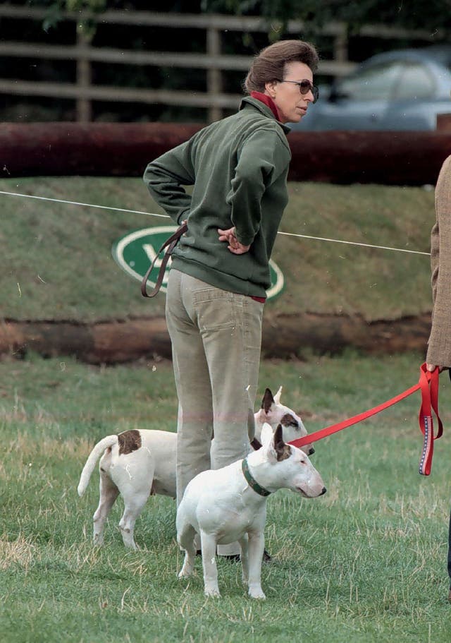 Anne with her English bull terriers 