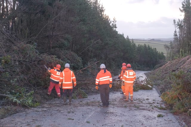 Fallen trees were cleared