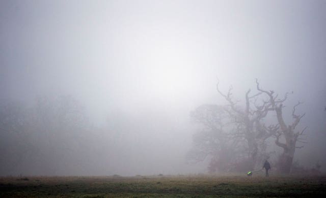 Fog hides the trees at Windsor Great Park in Berkshire