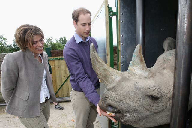 William meeting a five-year-old black rhino called Zawadi at Port Lympne Wild Animal Park in Port Lympne in 2012