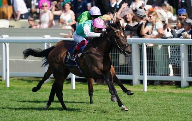 Coppice was a Royal Ascot winner
