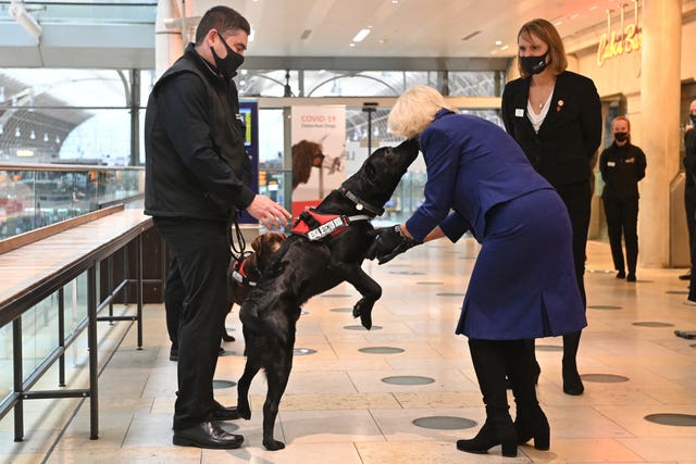 The Duchess of Cornwall has previously seen Medical Detection Dogs in action when Labradors, trained to sniff out coronavirus, were put through their paces at Paddington station (Justin Tallis/PA)
