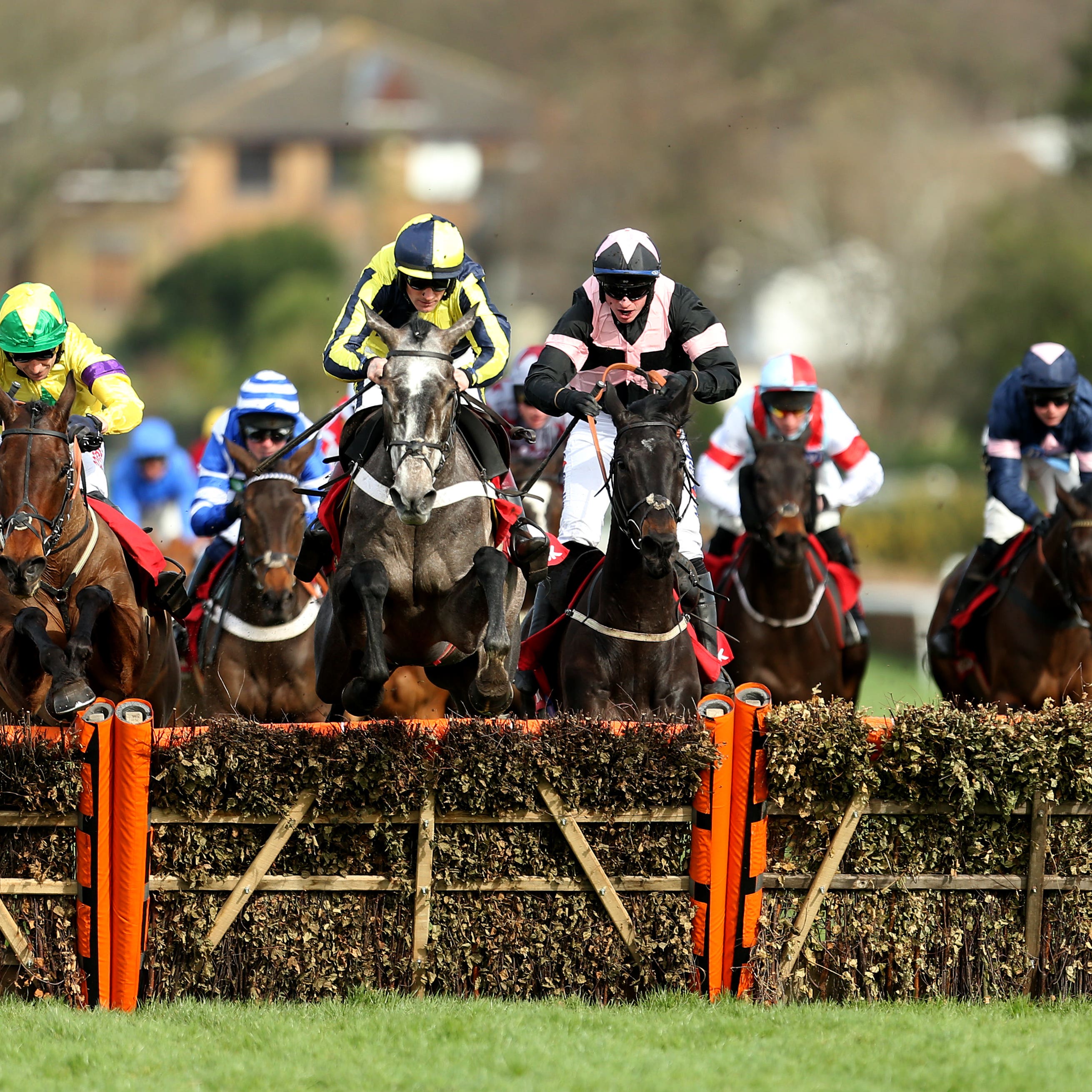 One For Rosie (yellow and blue) and Third Wind (pink and black) in action at Sandown