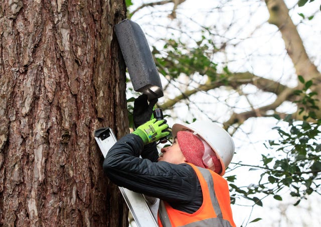 Ecologist Robert Bell installing a bat box (Danny Lawson/PA)