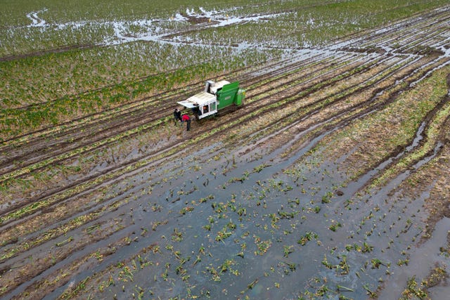 Supermarkets off track to meet goal to halt deforestation from food Biology Diagrams