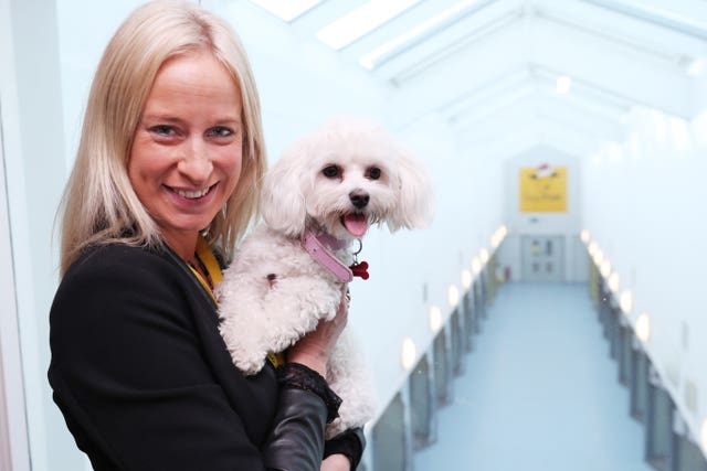 Dogs Trust in Dublin