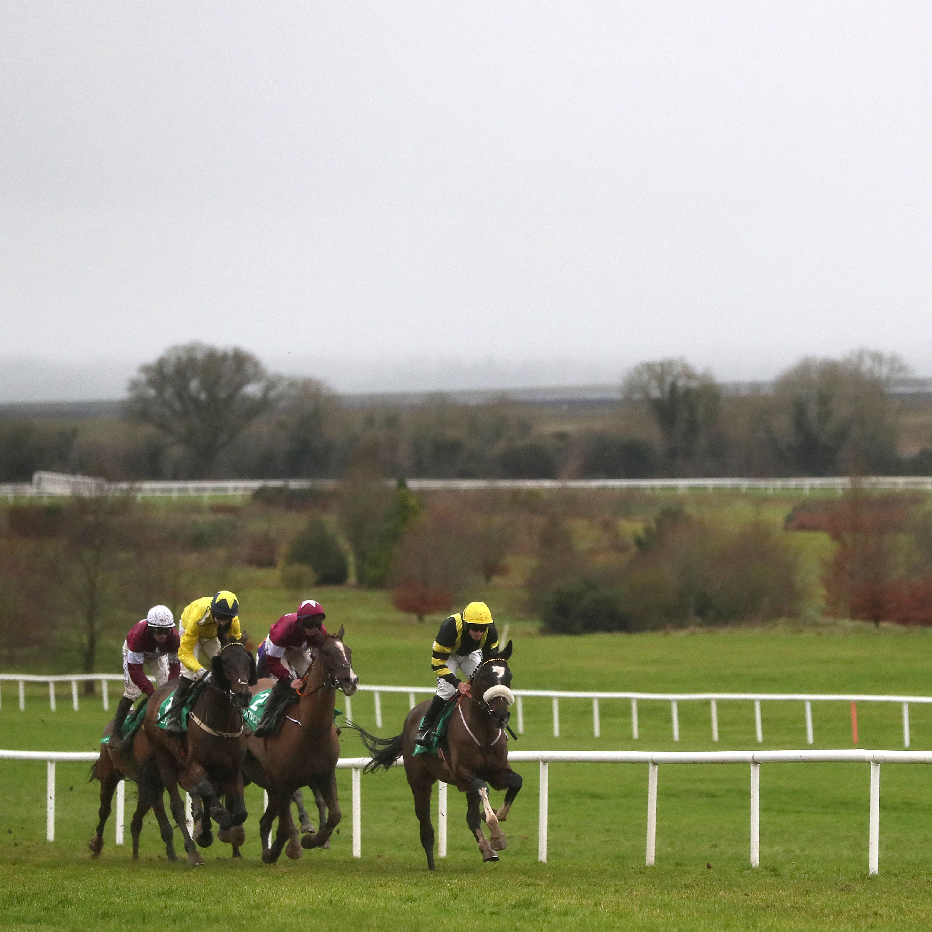 Racing at Navan