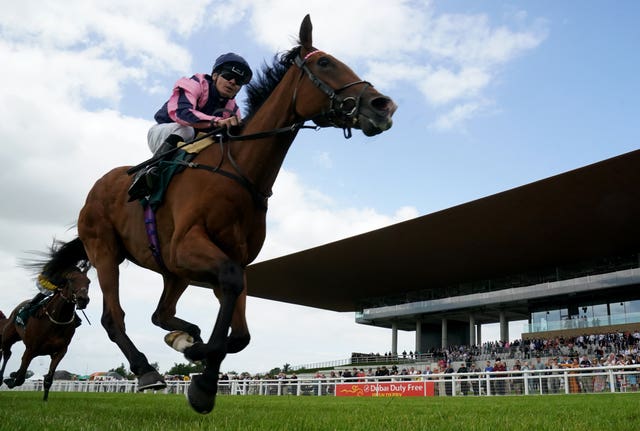 Via Sistina was a Group One winner at the Curragh last week 
