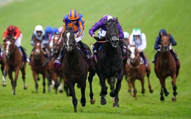 Auguste Rodin (left) just got the better of King Of Steel at Epsom and the pair will meet again