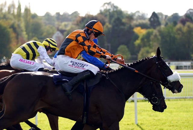 Lord Accord (nearside) has a hurdles date