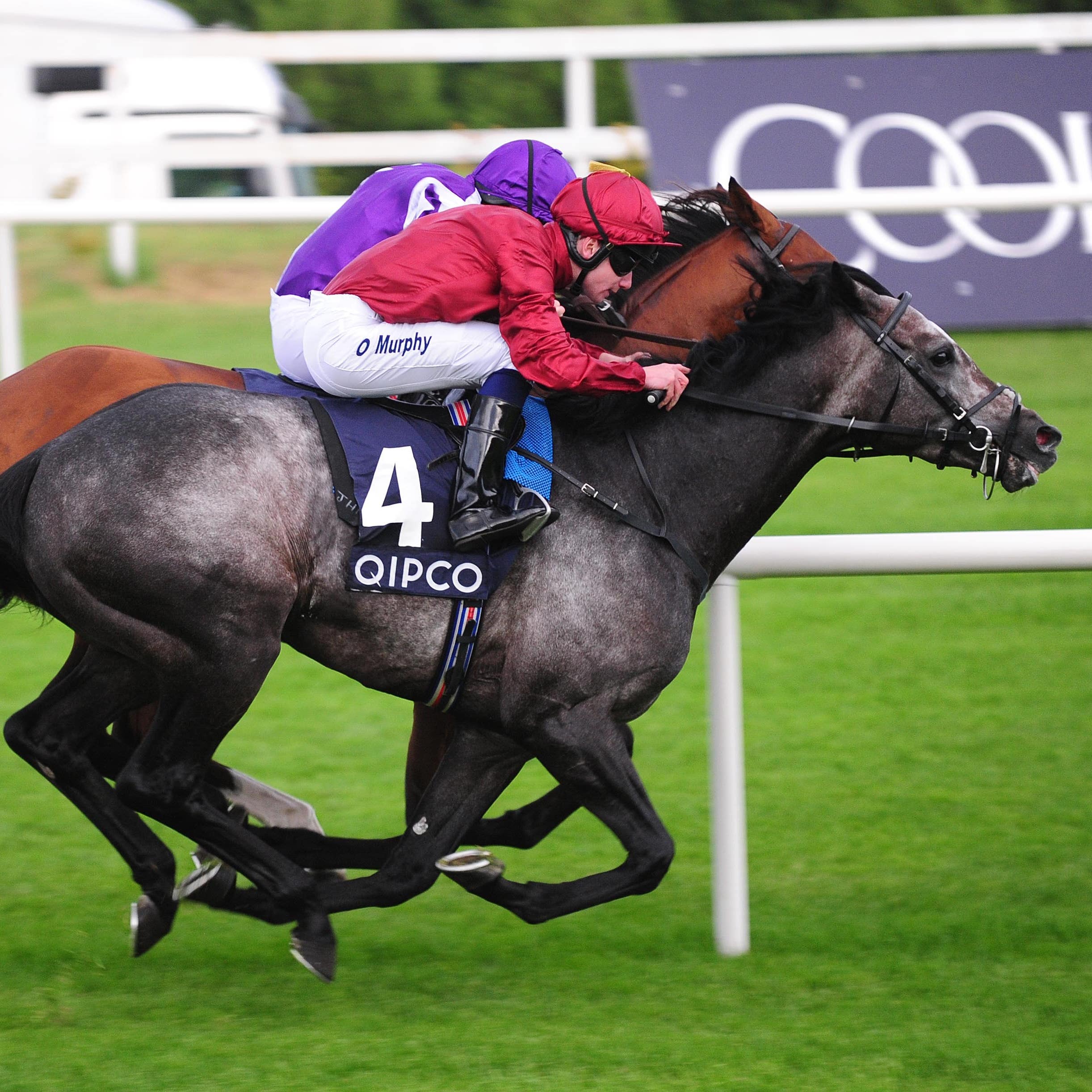 Roaring Lion gets up to win the Irish Champion Stakes at Leopardstown