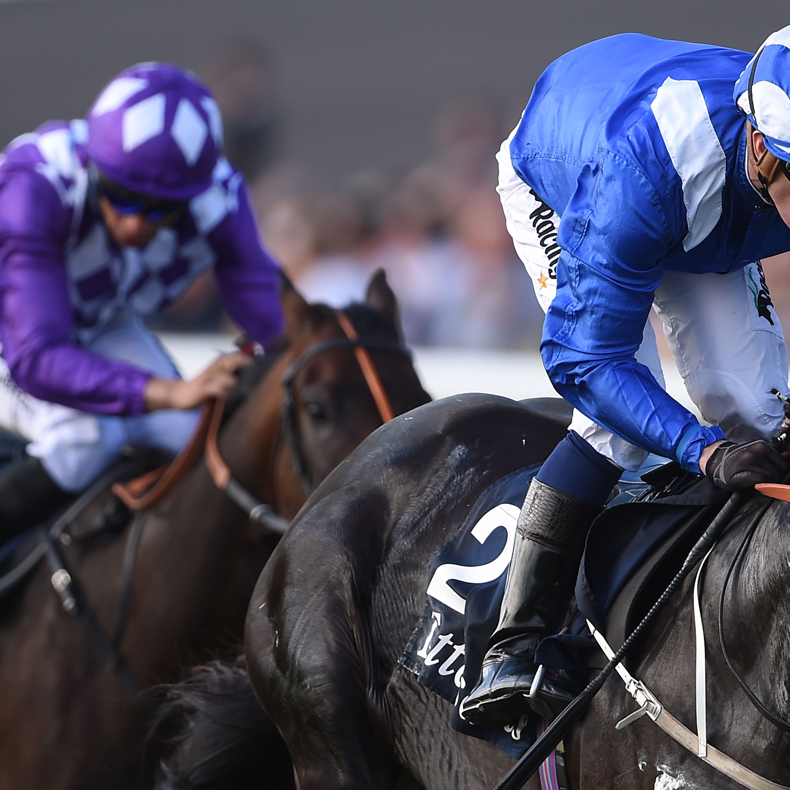 Elarqam winning at Newmarket last season