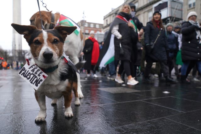 A dog joins protesters from the Ireland-Palestine Solidarity Campaign during a march in O’Connell Street, Dublin