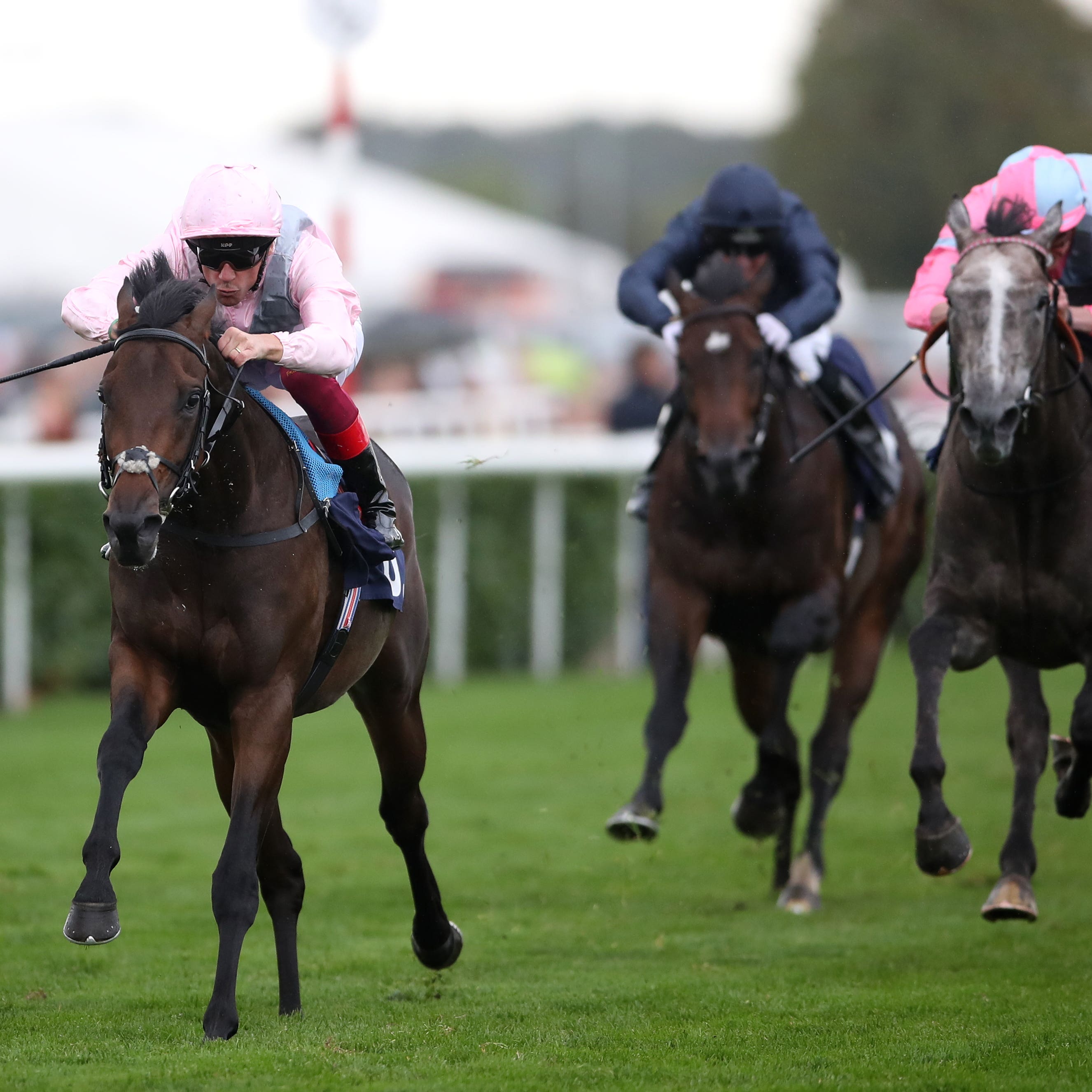 Too Darn Hot stretches clear in the Champagne Stakes at Doncaster