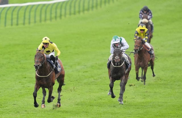 Caviar Heights impressed at Newmarket 