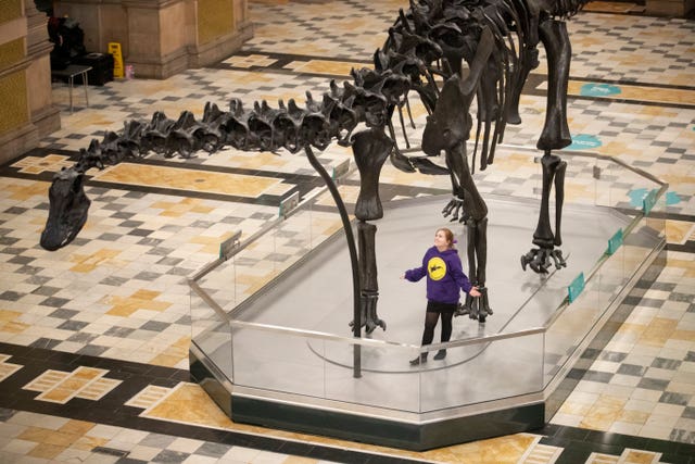 Dippy the dinosaur at Kelvingrove Art Gallery and Museum in Glasgow