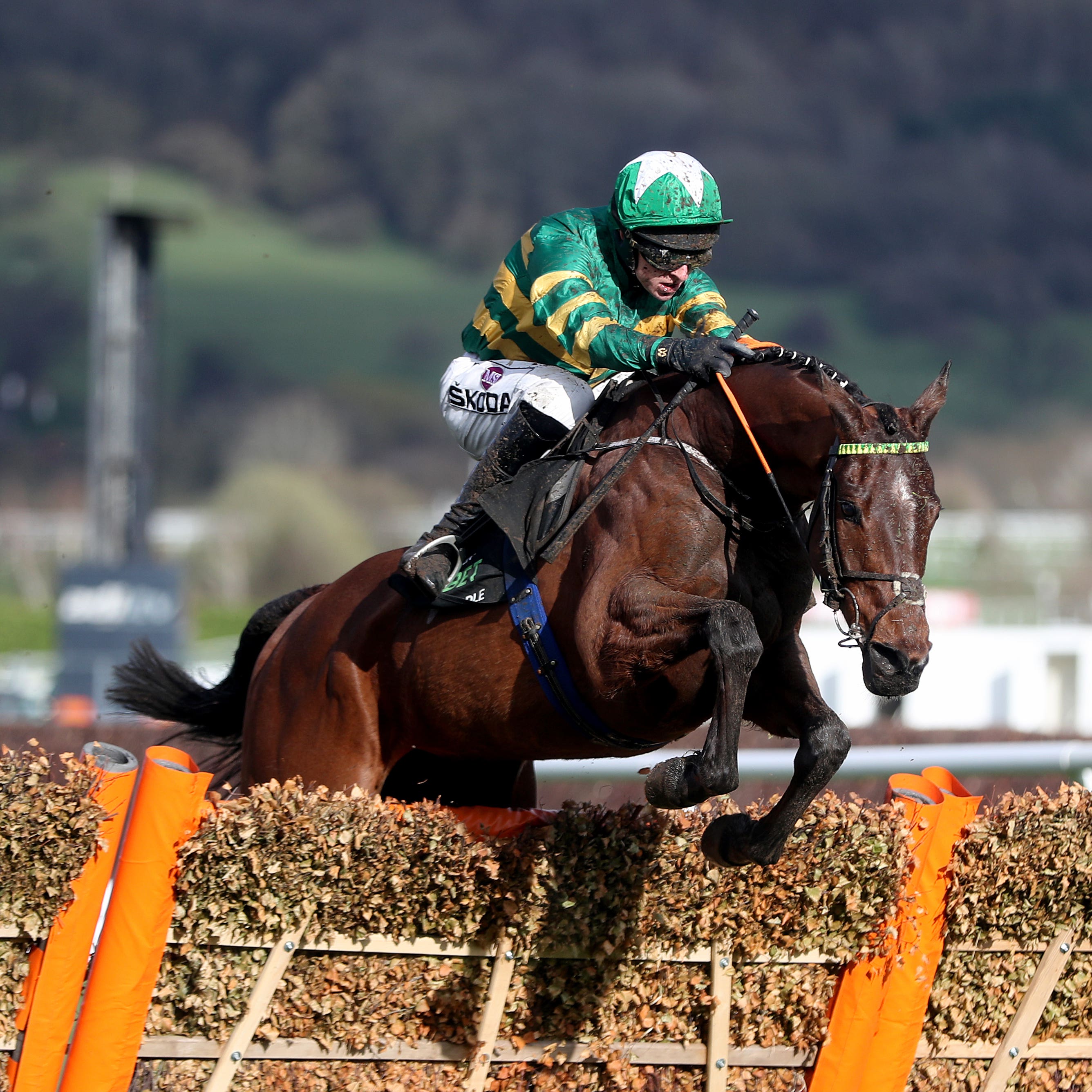 Espoir D’Allen jumps the last clear