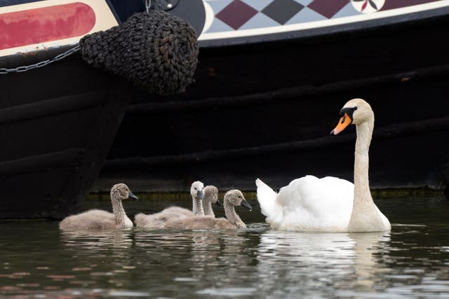 Crick Boat Show