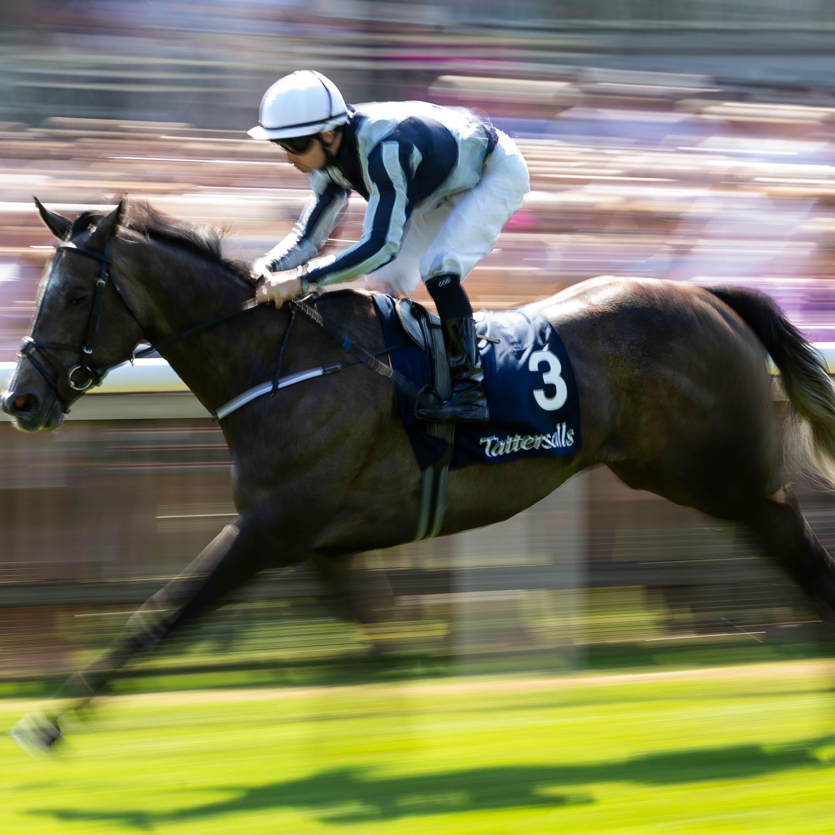 Alpha Centauri was a dazzling winner at Newmarket
