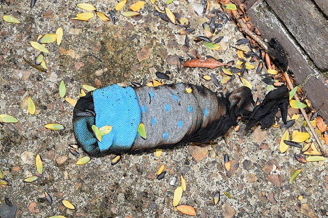 A sock used to light a homemade bomb
