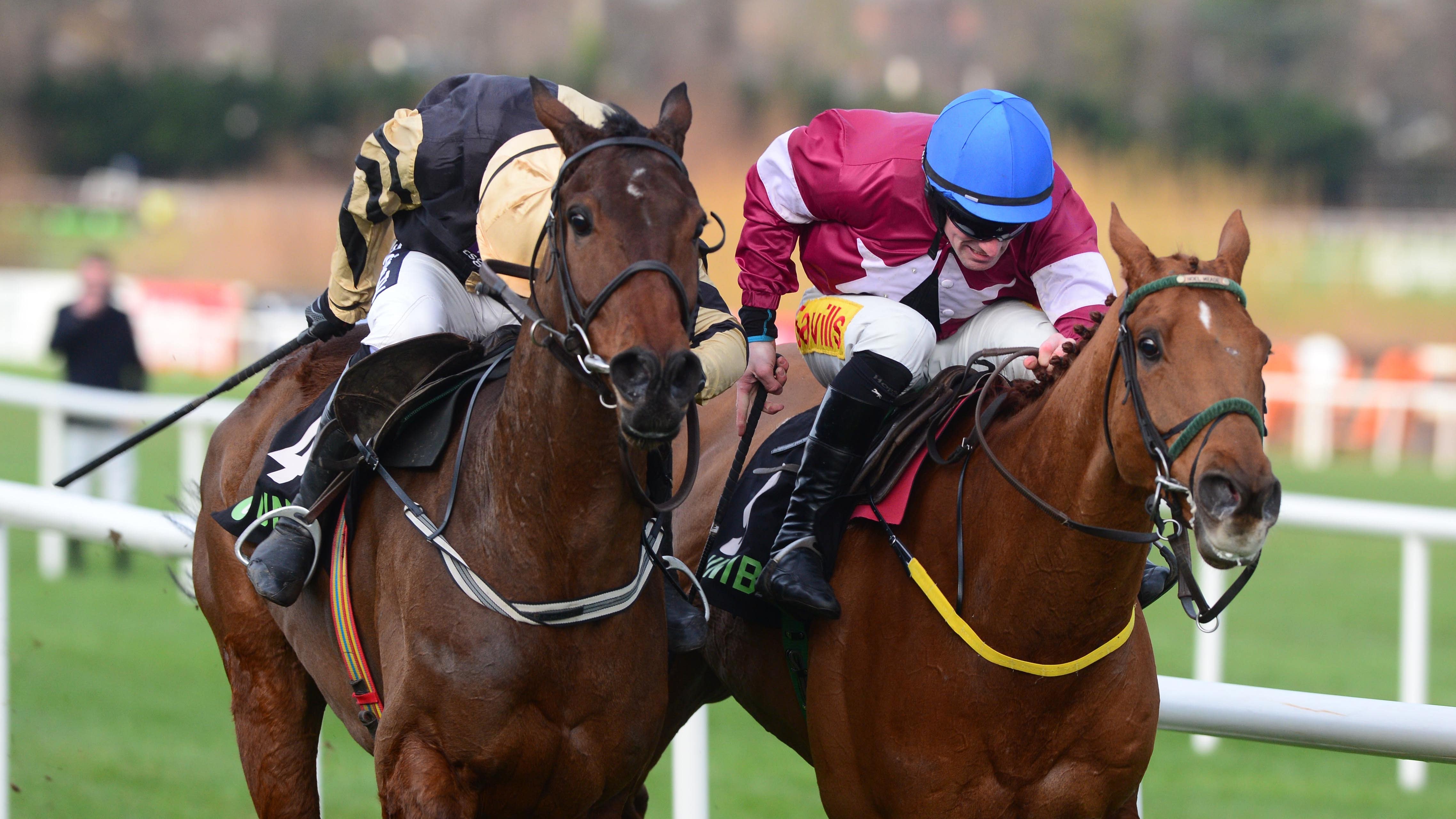 paddy power irish gold cup