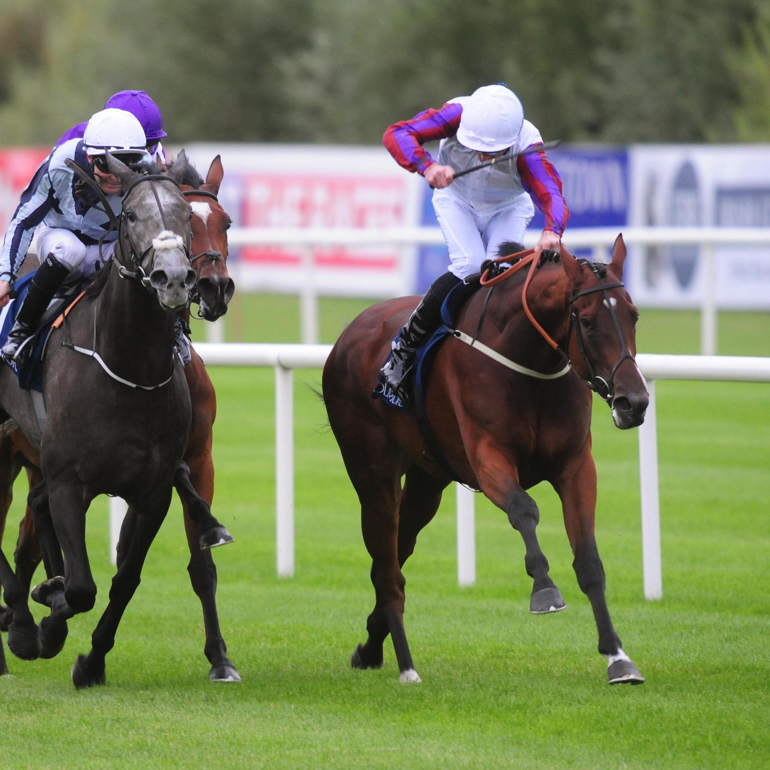 Laurens (right) saw off Alpha Centauri to win the Matron Stakes