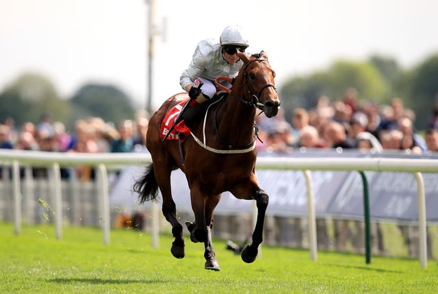 Permian and Norton taking the Dante at York