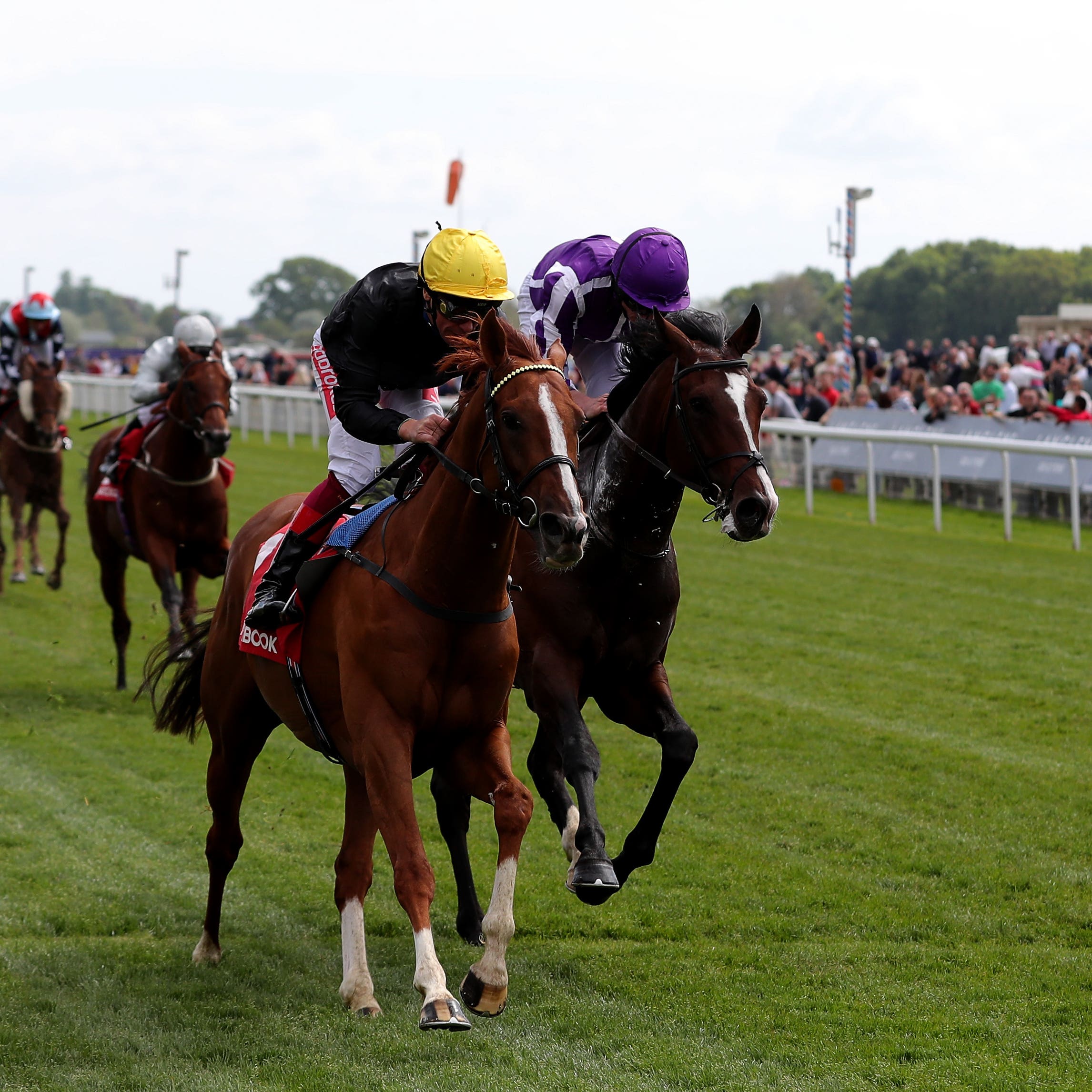 Southern France (far side) could drop down in trip at Ascot