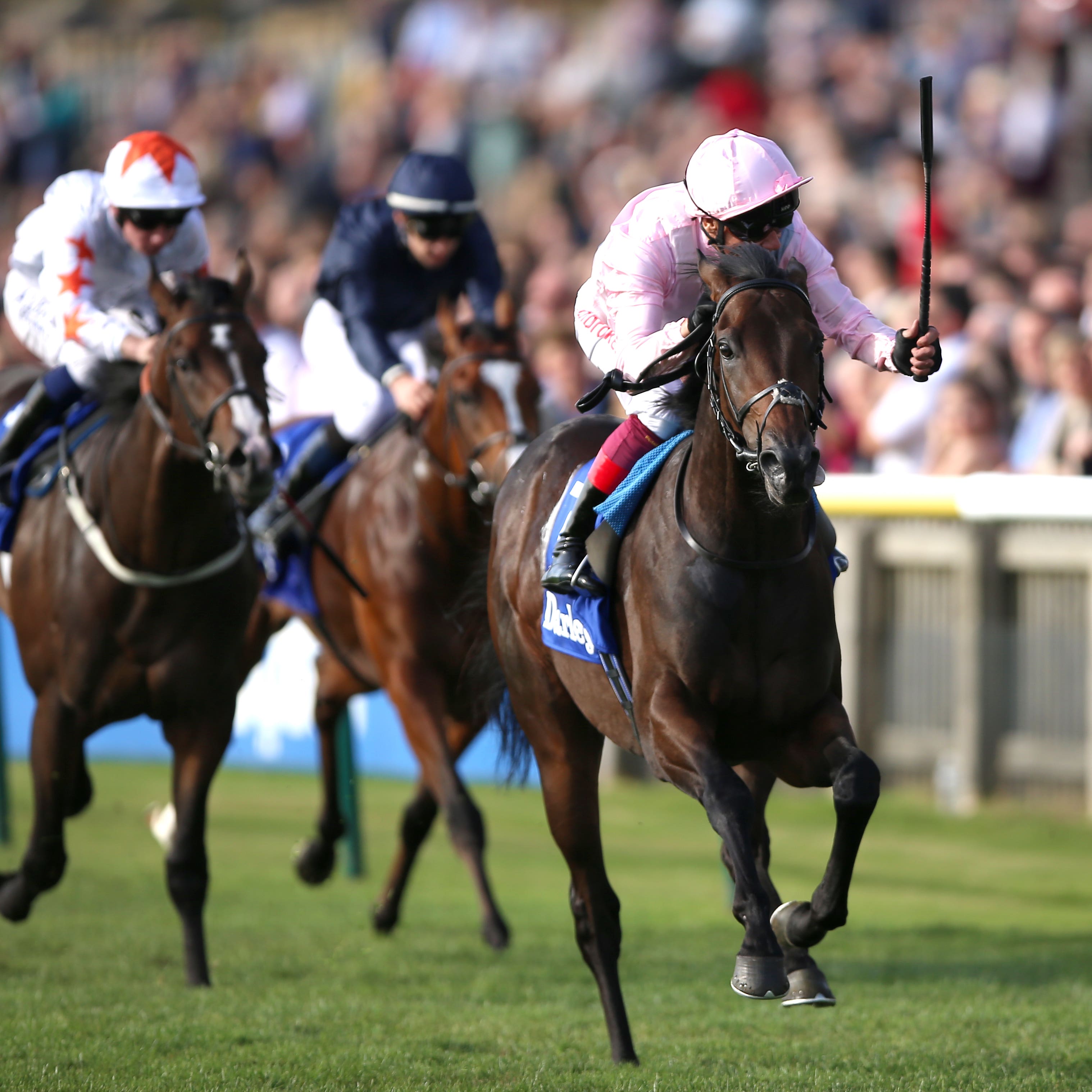 Too Darn Hot and Frankie Dettori on the way to winning the Dewhurst Stakes (