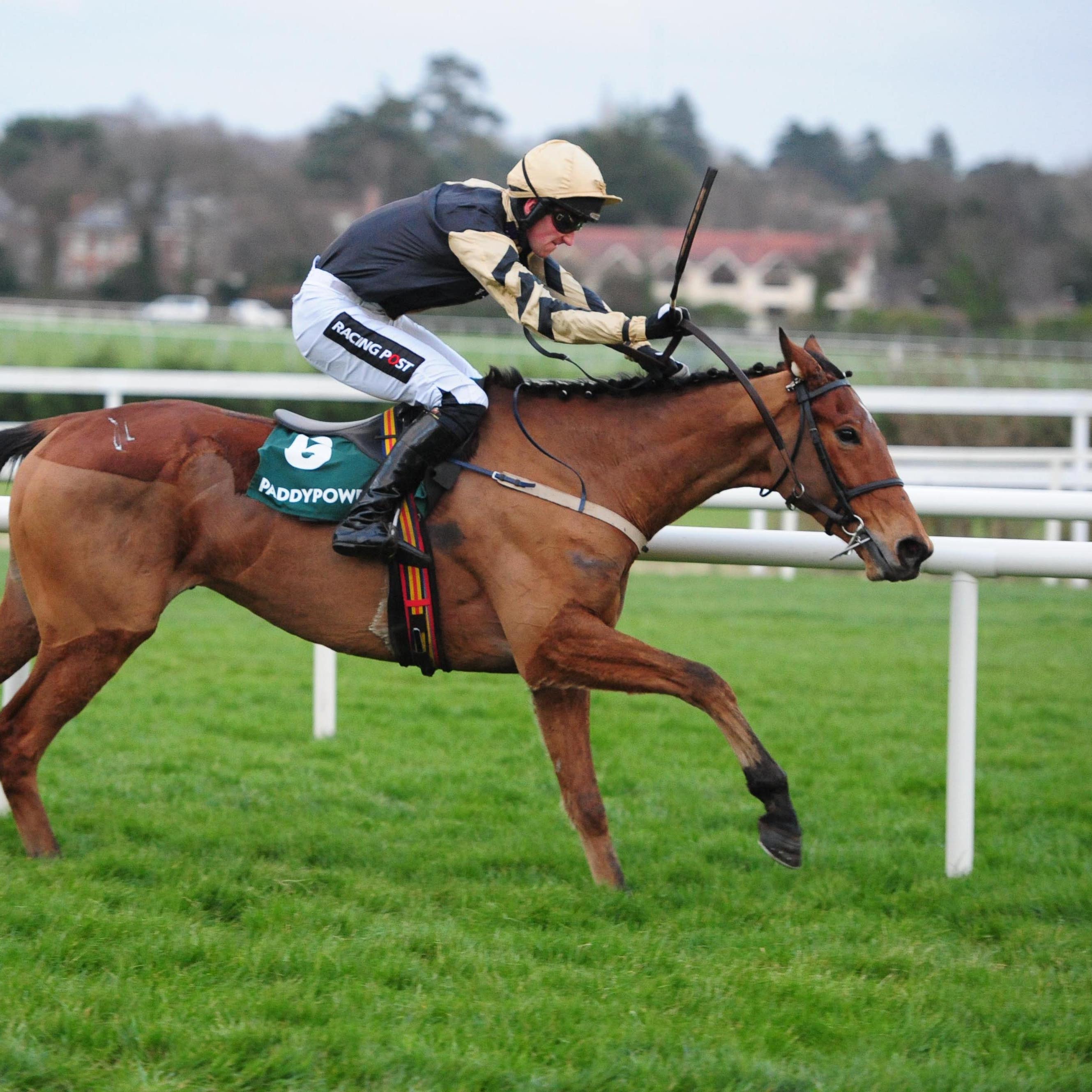 Ballyward was a fatality in the National Hunt Chase