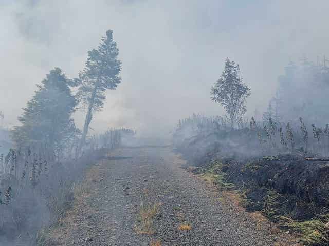 Wildfires in Northern Ireland