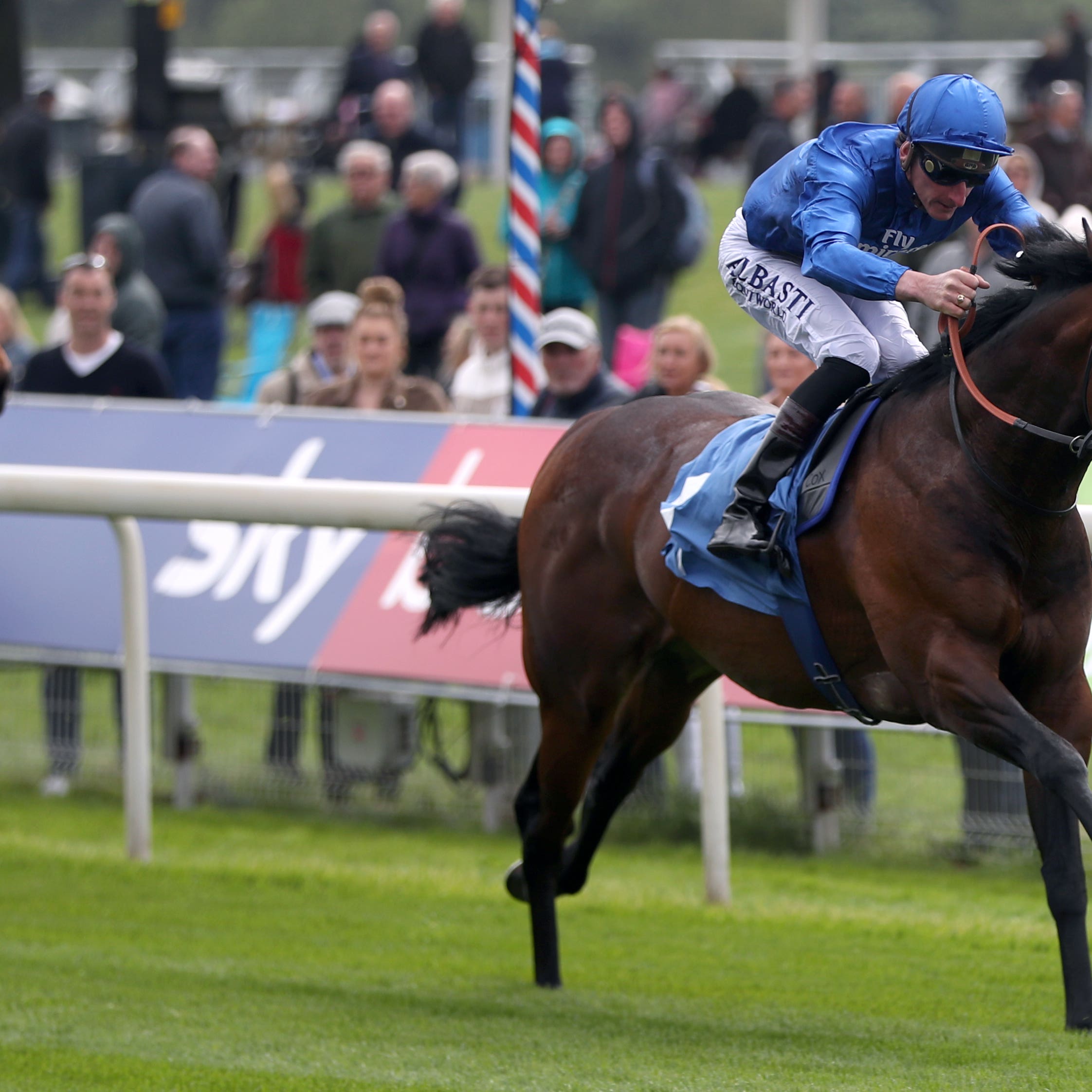 Harry Angel was an was winner at York on his return