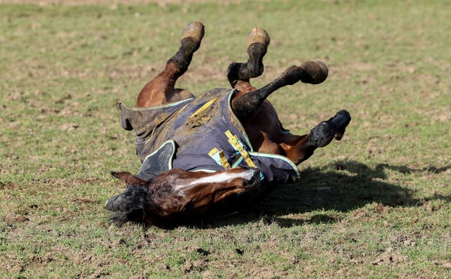 Hewick rolls in mud at Shark Hanlon's yard 