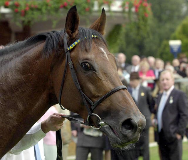 Falbrav after winning the QEII at Ascot 
