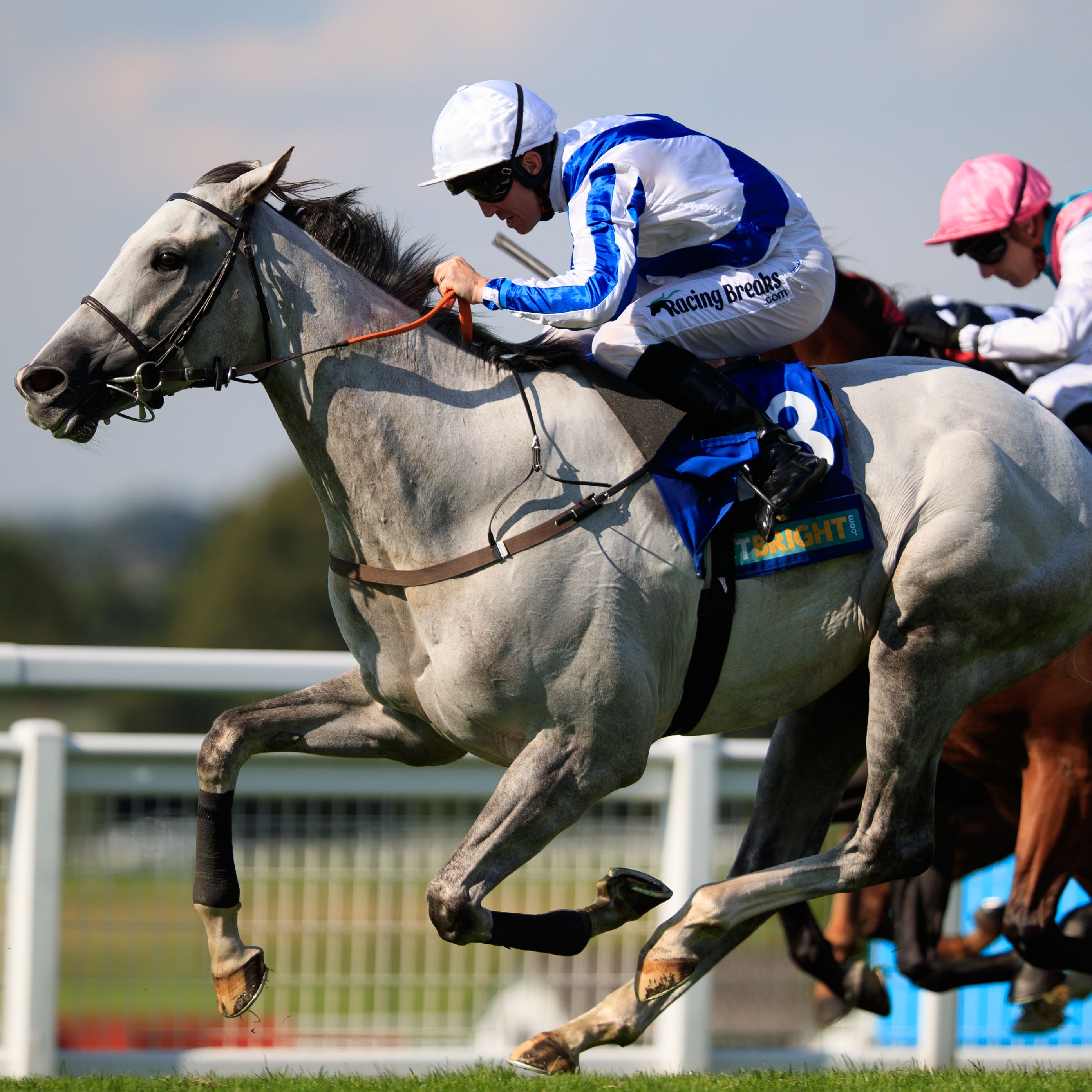Thundering Blue, who could tackle next month's Japan Cup