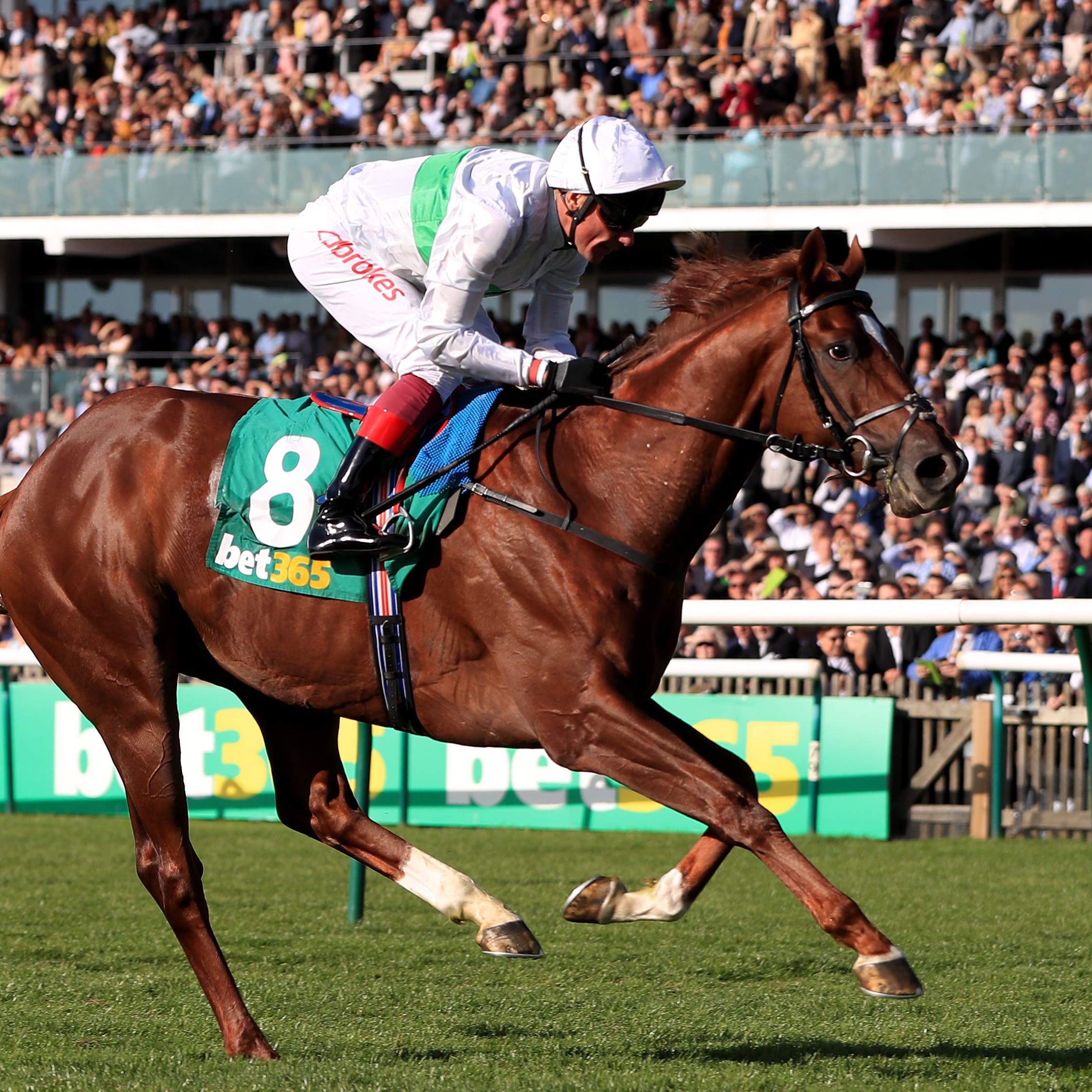 Wissahickon who Robert Havlin feels will take all the beating in the Betway Winter Derby at Lingfield (