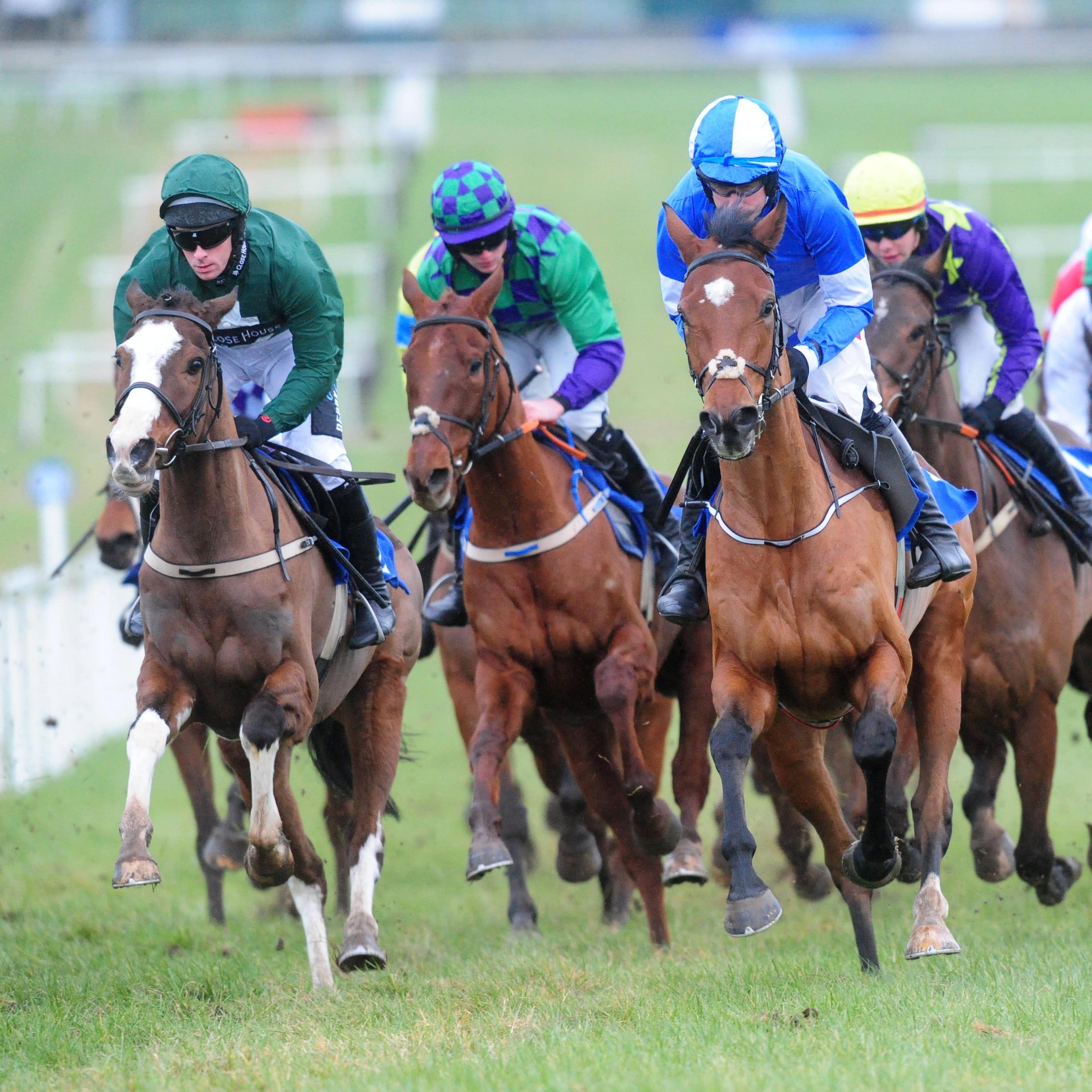 Racing is set to continue in Ireland, with fresh guidelines for trainers