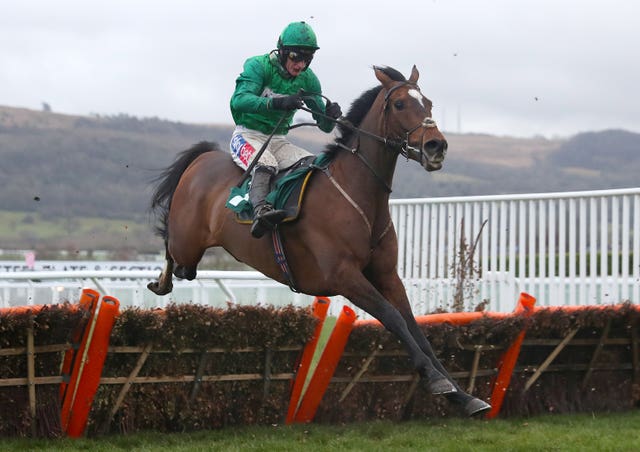 Wholestone will bypass Aintree and revert to hurdles