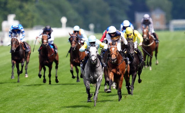 Charyn was an impressive winner at Royal Ascot in June