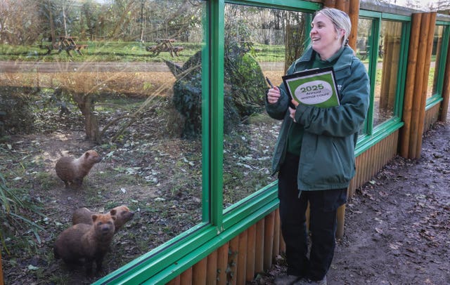 A member of staff holding a clipboard next to an animals enclosure