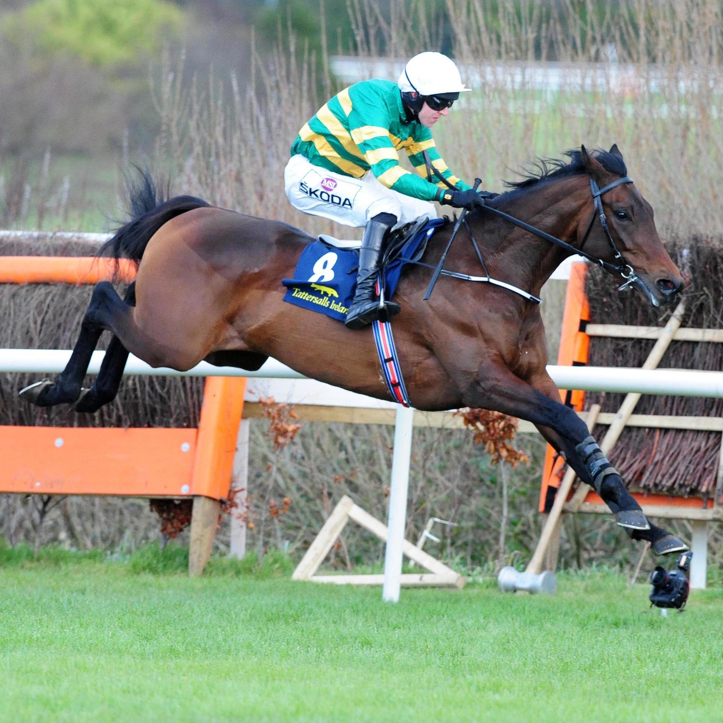Sir Erec skips clear to win at Leopardstown last month