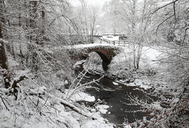 Snow-covered trees at the River Knaik at Braco, near Dunblane, in Scotland