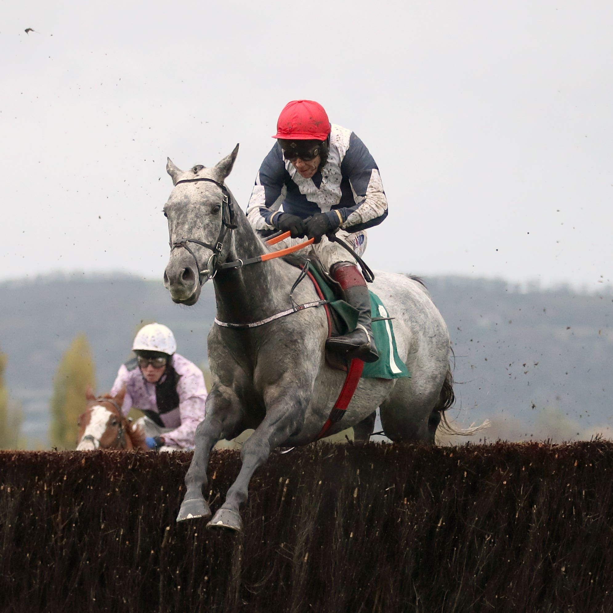Cubomania on his way to winning at Cheltenham
