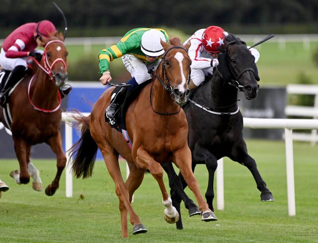 Trustyourinstinct returned to winning ways 
