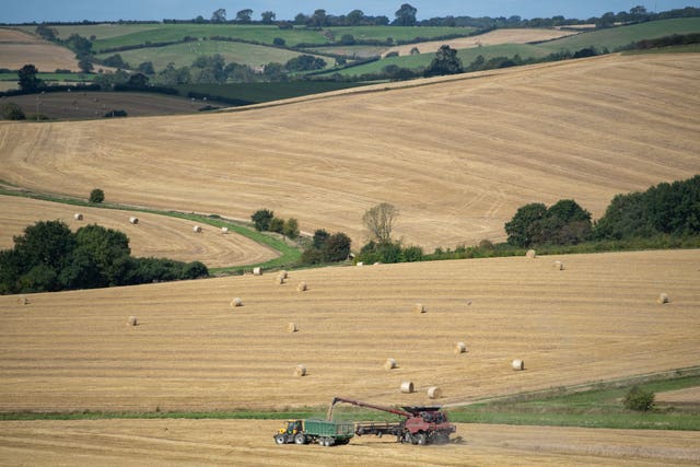 A combine harvester cuts the last of the wheat in a field near Ridlington in Rutland